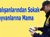 PTT Çalışanlarından Sokak Hayvanlarına Mama