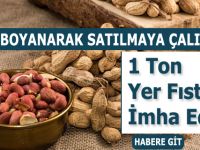 1 Ton Yer Fıstığı İmha Edildi