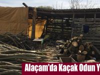 Alaçam'da Kaçak Odun Yakalandı