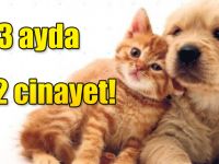 3 ayda 122 cinayet!