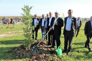 Bafra’da 5 bin fidan toprakla buluşturuldu 2