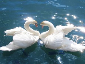 EN GÜZEL FOTOĞRAFLAR