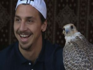 İbrahimovic'i Hiç Böyle Gördünüz mü?
