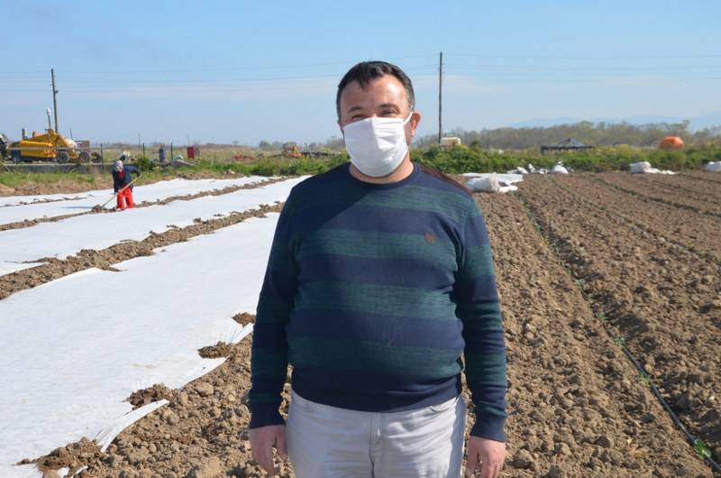 Bafra Ovası’nda örtü altı karpuz fideleri toprakla buluşuyor 21