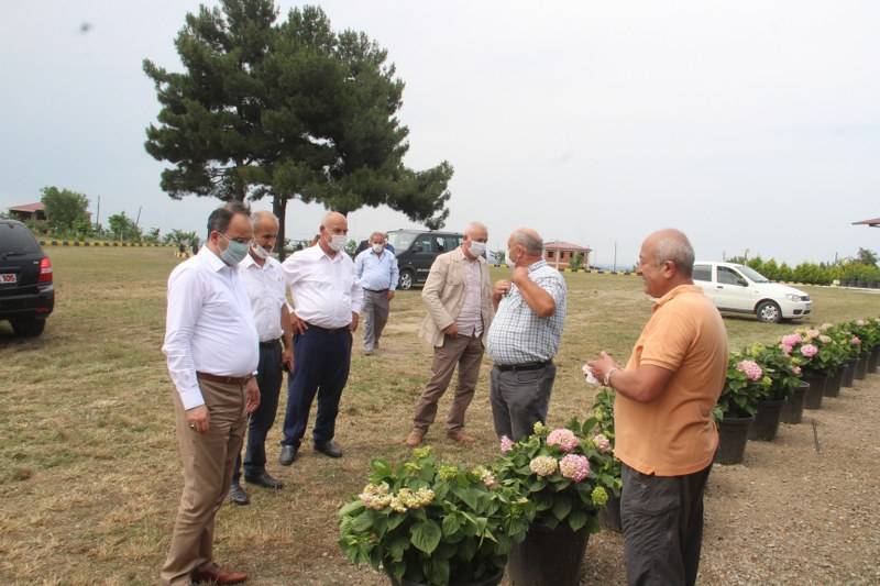 Bafra Ziraat Odası Türkiye’nin İlk Fındık Çiftliğinde İncelemelerde Bulu 1