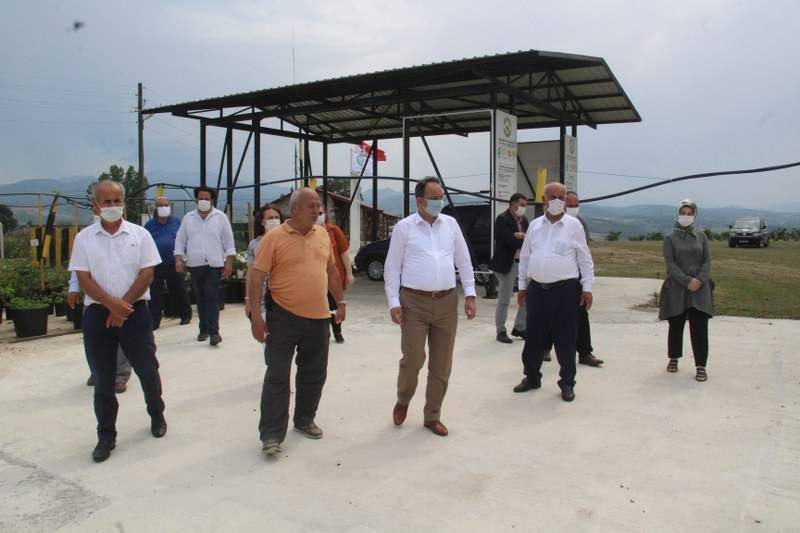 Bafra Ziraat Odası Türkiye’nin İlk Fındık Çiftliğinde İncelemelerde Bulu 2