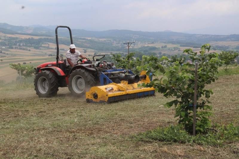 Bafra Ziraat Odası Türkiye’nin İlk Fındık Çiftliğinde İncelemelerde Bulu 9