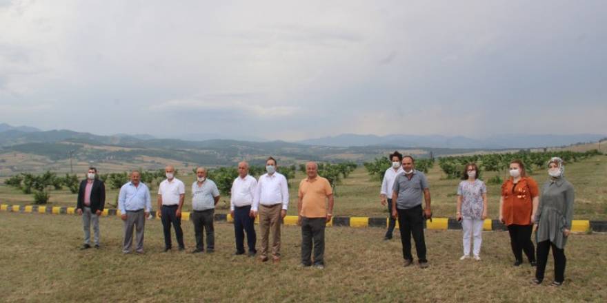 Bafra Ziraat Odası Türkiye’nin İlk Fındık Çiftliğinde İncelemelerde Bulu