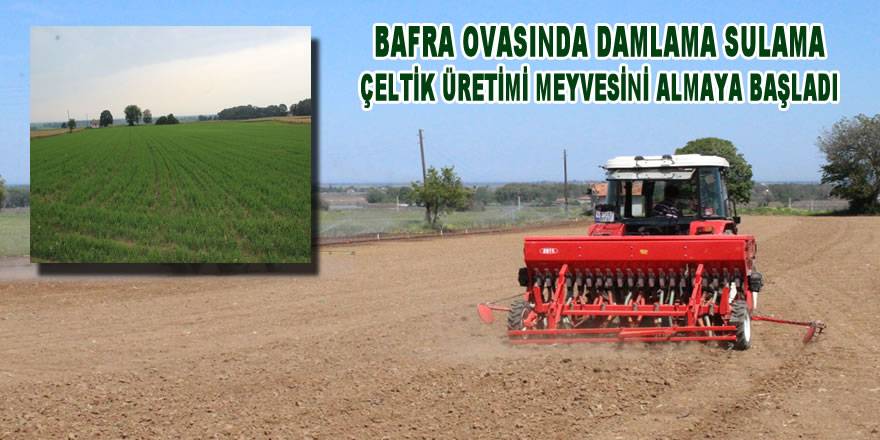 Damla Sulam Çeltik Üretimi Meyvesini Vermeye Başladı