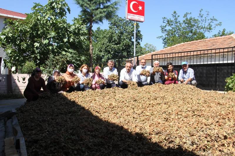 Fındık Köylülerin Yüzünü Güldürdü 9