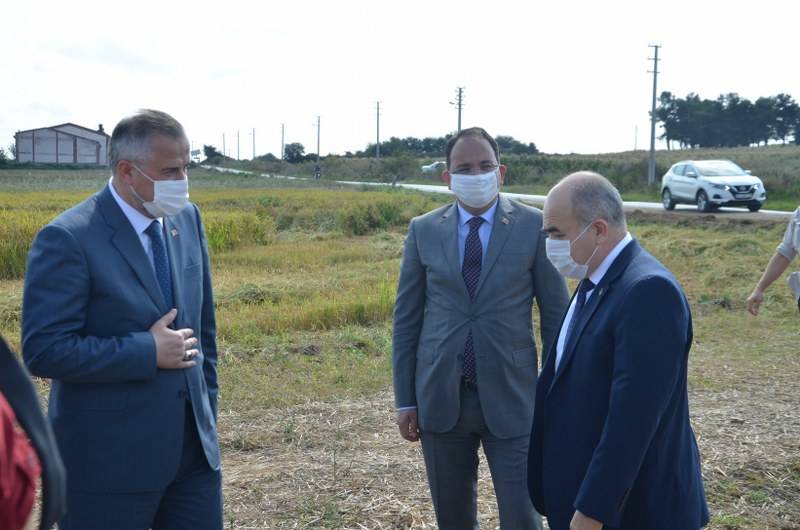 Bafra Ovası'nda 5. Çeltik Hasat Şenliği gerçekleştirildi. 1