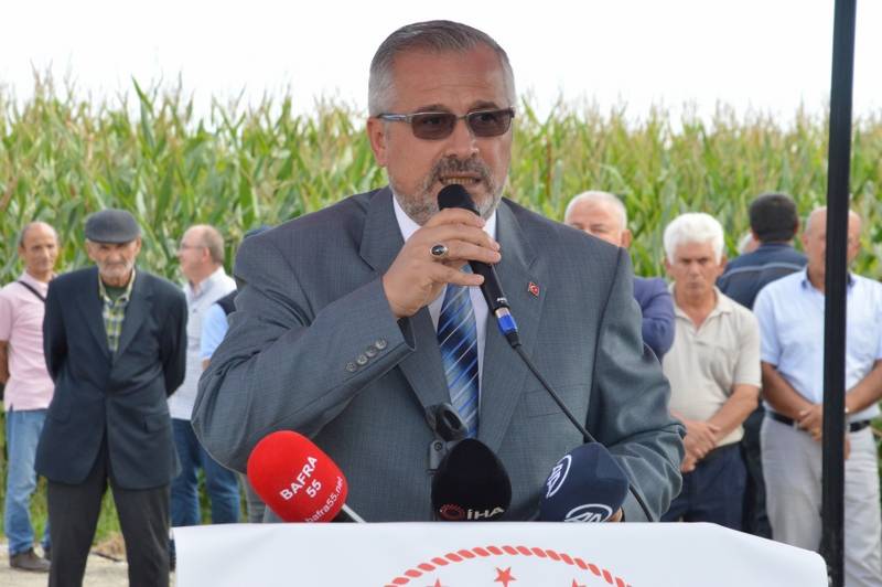 Bafra'da çeltik hasadı şenliği 20