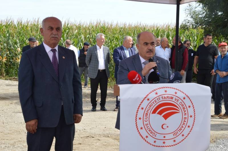 Bafra'da çeltik hasadı şenliği 22