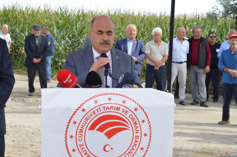 Bafra'da çeltik hasadı şenliği 23