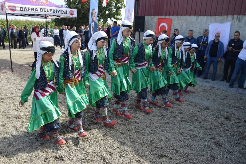 Bafra'da çeltik hasadı şenliği 24