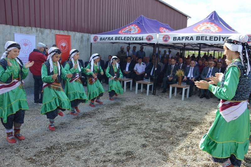 Bafra'da çeltik hasadı şenliği 25
