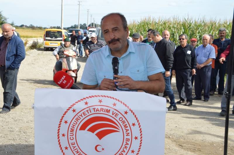 Bafra'da çeltik hasadı şenliği 26