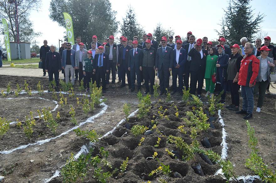 Bafra’da Geleceğe Nefes,1.111 Fidan Dikimi Gerçekleştirildi 29