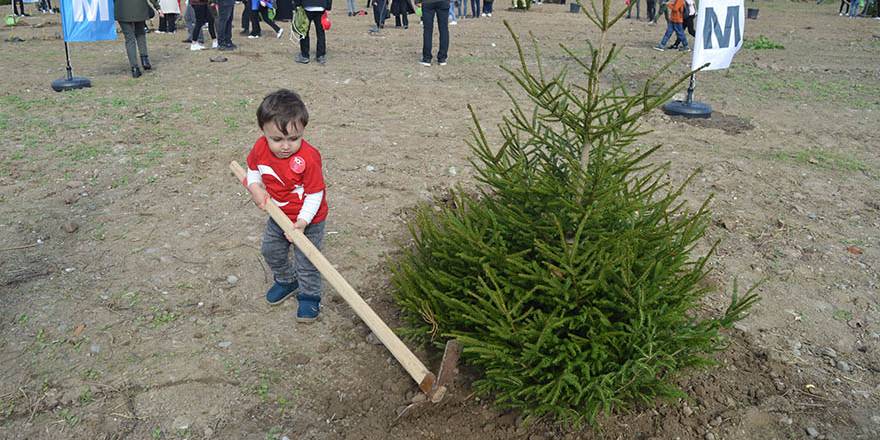 Bafra’da Geleceğe Nefes,1.111 Fidan Dikimi Gerçekleştirildi