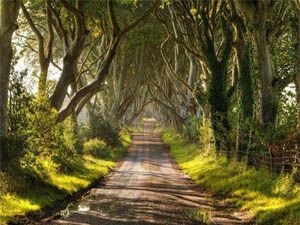 Buraları Mutlaka Görmelisiniz.