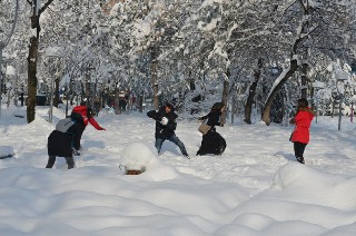 Bafra'dan kar manzaraları 13