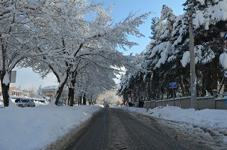 Bafra'dan kar manzaraları 15