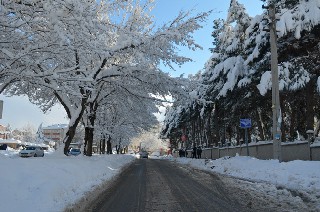 Bafra'dan kar manzaraları 16