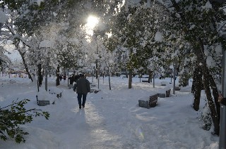 Bafra'dan kar manzaraları 2