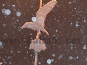 Bafra'da Kartpostallık Görüntüler