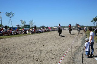 Samsun'da Rahvan At Yarışları 3