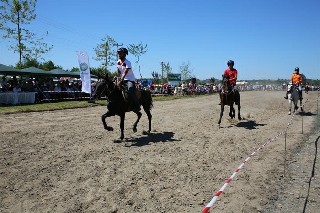 Samsun'da Rahvan At Yarışları 4