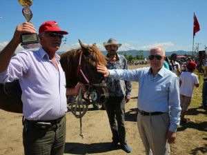 Samsun'da Rahvan At Yarışları