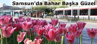 Samsun'da Bahar Başka Güzel 1