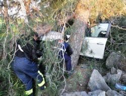 BAFRA'DA OTOMOBİL AĞACA ÇARPTI: 3 YARALI