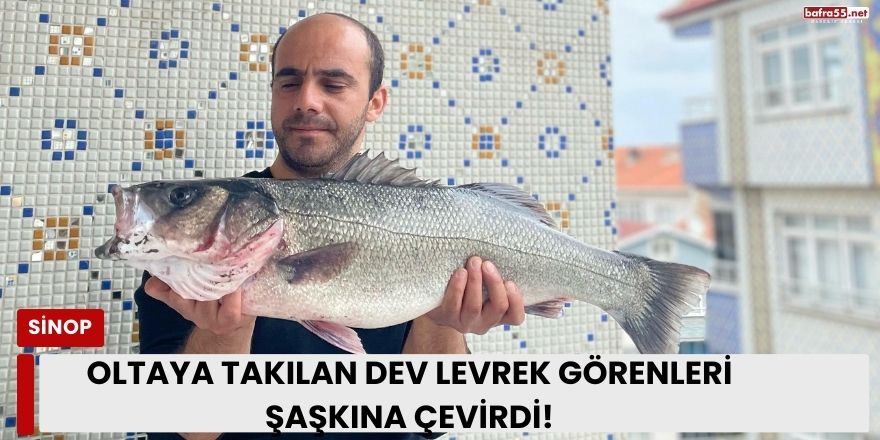 Oltaya Takılan Dev Levrek Görenleri  Şaşkına Çevirdi!