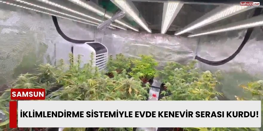 İklimlendirme Sistemiyle Evde Kenevir Serası Kurdu!