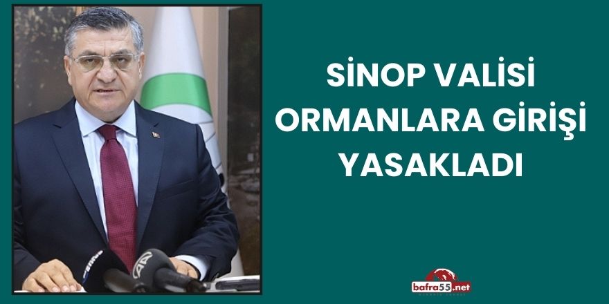Sinop Valisi Ormanlara Girişi Yasakladı
