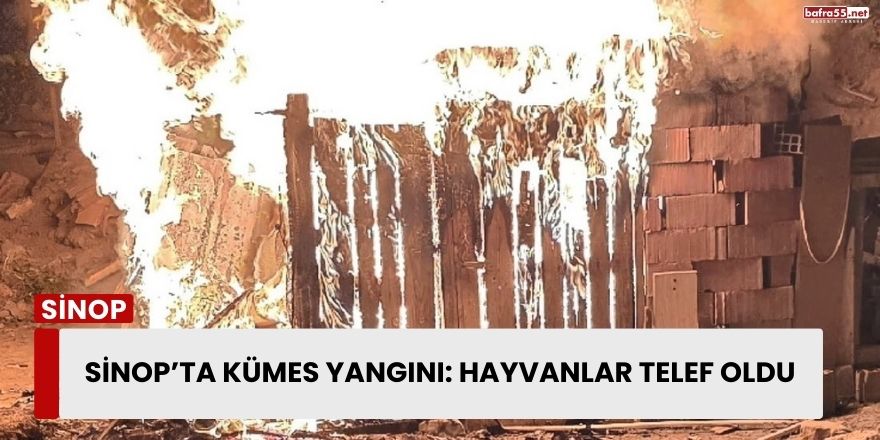 Sinop’ta Kümes Yangını: Hayvanlar Telef Oldu