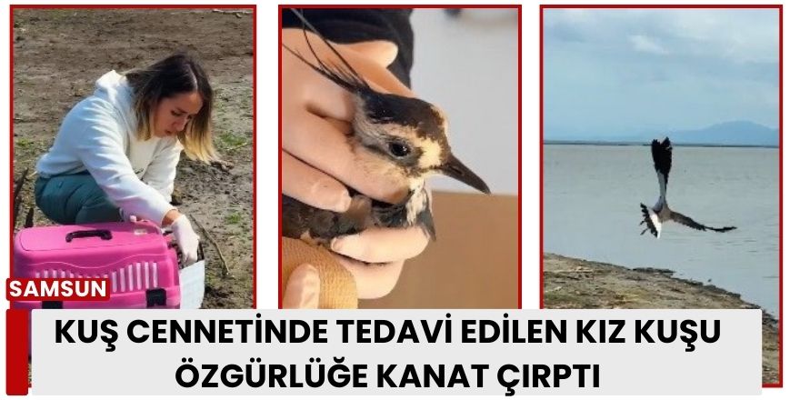 Kuş Cenneti'nde Tedavi Edilen Kız Kuşu Özgürlüğe Kanat Çırptı