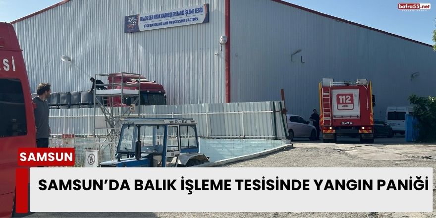 Samsun’da Balık İşleme Tesisinde Yangın Paniği