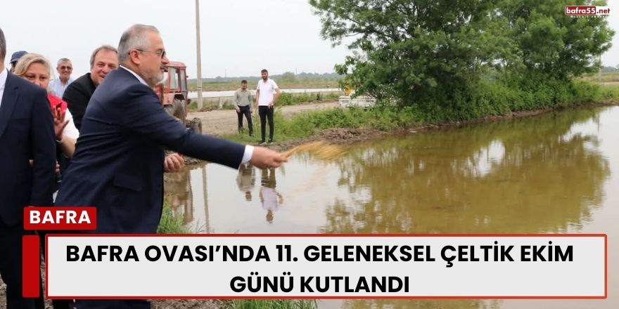 Bafra Ovası’nda 11. Geleneksel Çeltik Ekim Günü Kutlandı
