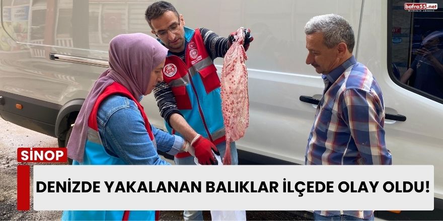 Denizde Yakalanan Balıklar İlçede Olay Oldu!