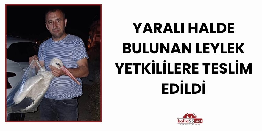 Yaralı Halde Bulunan Leylek Yetkililere Teslim Edildi