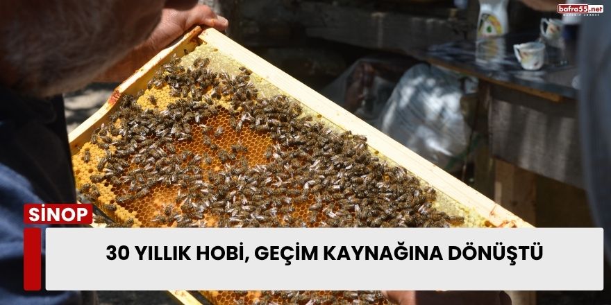 30 Yıllık Hobi, Geçim Kaynağına Dönüştü
