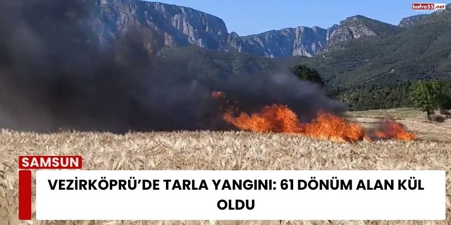 Vezirköprü’de Tarla Yangını: 61 Dönüm Alan Kül Oldu