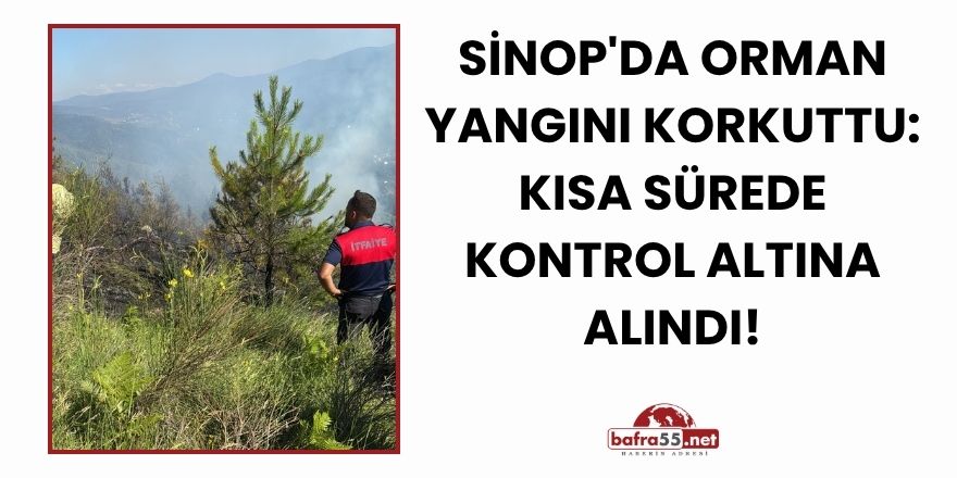 Sinop'da Orman Yangını Korkuttu: Kısa Sürede Kontrol Altına Alındı