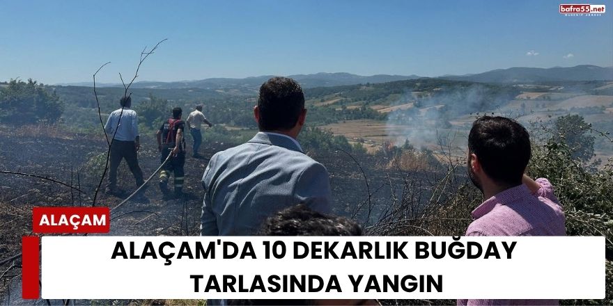 Alaçam'da 10 Dekarlık Buğday Tarlasında Yangın