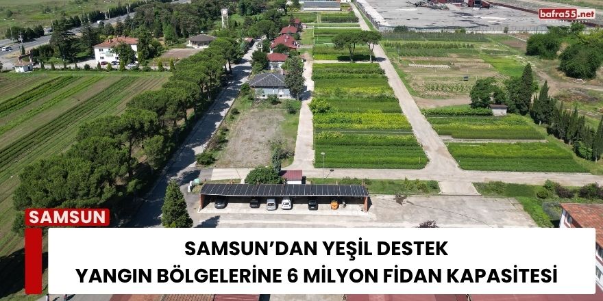 Samsun’dan Yeşil Destek: Yangın Bölgelerine 6 Milyon Fidan Kapasitesi