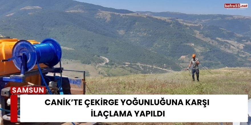 Canik’te Çekirge Yoğunluğuna Karşı İlaçlama Yapıldı