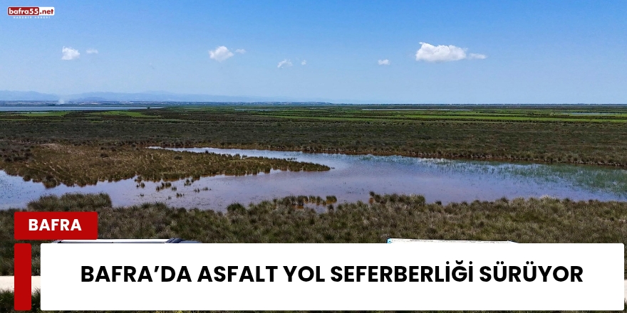 Kızılırmak Deltası Kuş Cenneti Yaz Aylarında da Turizmin Gözdesi